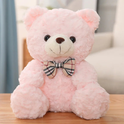 Cute  Teddy Bear - 25cm