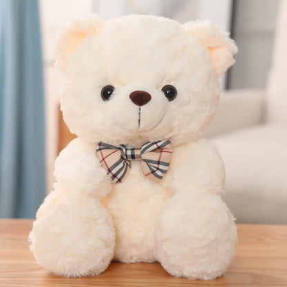 Cute  Teddy Bear - 25cm